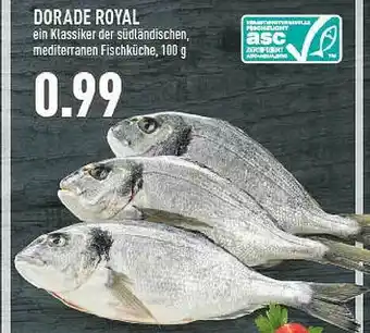 Marktkauf Dorade Royal Angebot