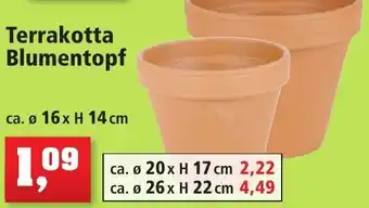 Thomas Philipps Terrakotta Blumentopf Angebot