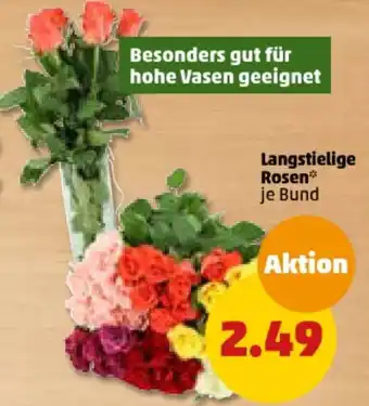 PENNY Langstielige Rosen Angebot