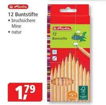 Pfennigpfeiffer 12 Buntstifte Angebot