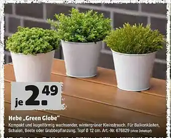 Hagebau Hebe „green Globe” Angebot