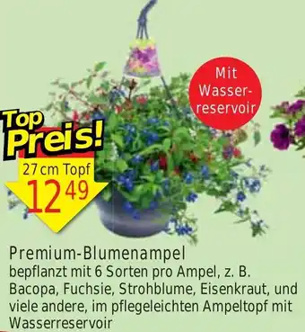 Wiglo Wunderland Premium-Blumenampel 27 cm Topf Angebot