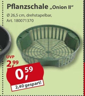 Sonderpreis Baumarkt Pflanzschale ,,Onion II" Angebot