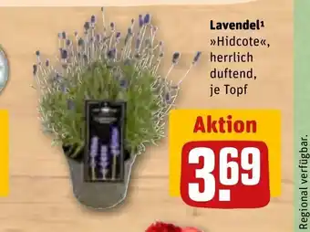 REWE Lavendel¹ >>Hidcote<<, herrlich duftend, Angebot