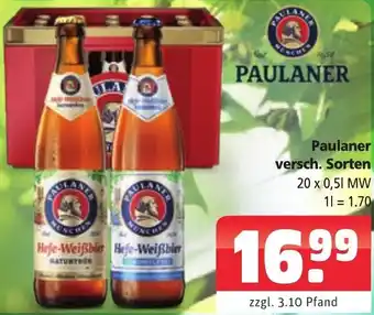 Getränkehaus Paulaner versch. Sorten 20 x 0,5 L MW Angebot