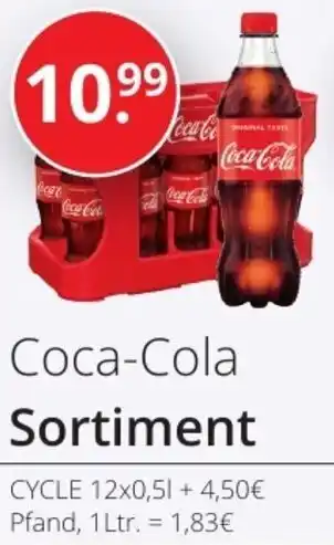 Sagasser Coca-Cola Sortiment 12x0,5 L Angebot