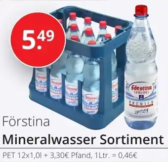 Sagasser Förstina Mineralwasser Sortiment 12x1,0 L Angebot