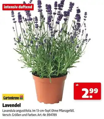 Hagebau Gartenkrone Lavendel Angebot