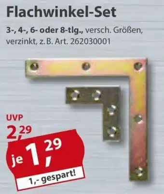 Sonderpreis Baumarkt Flachwinkel-Set Angebot