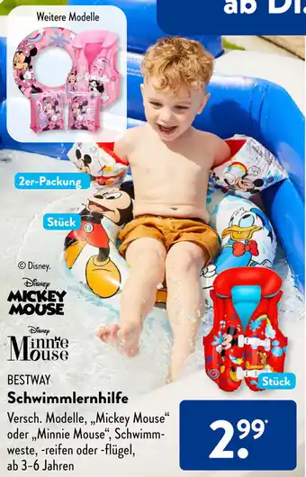 Aldi Süd Bestway Schwimmlernhilfe Angebot