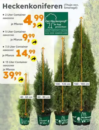 Globus Baumarkt Heckenkoniferen (Thuja occ. Smaragd) - 2 Liter Container 0684202050 Angebot