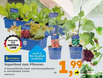 Globus Baumarkt Superfood zum Pflanzen Angebot