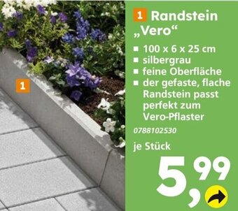 Globus Baumarkt Randstein ,,Vero" Angebot