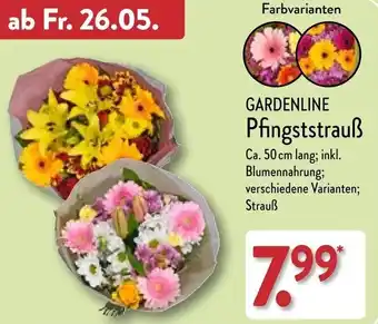 Aldi Nord GARDENLINE Pfingststrauß Angebot