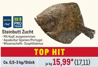 METRO METRO Chef Steinbutt Zucht 1kg Angebot