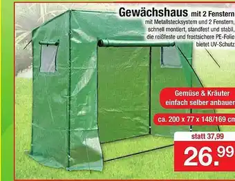 Zimmermann Gewächshaus mit 2 Fenstern Angebot