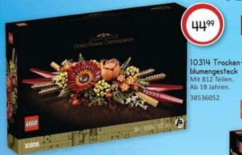Vedes LEGO 10314 Trocken-blumengesteck Angebot