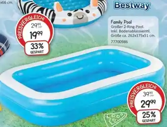 Vedes Bestway Family Pool Angebot