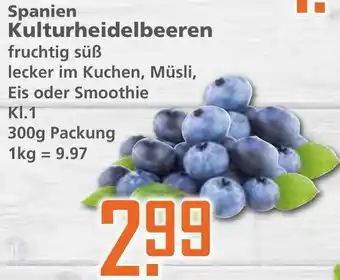 Klaas und Kock Spanien Kulturheidelbeeren 300g Packung Angebot