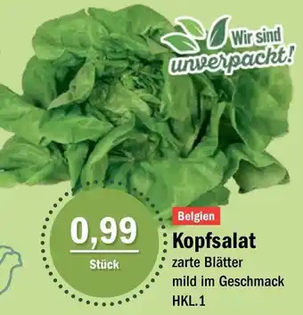 Aktiv Irma Kopfsalat Angebot