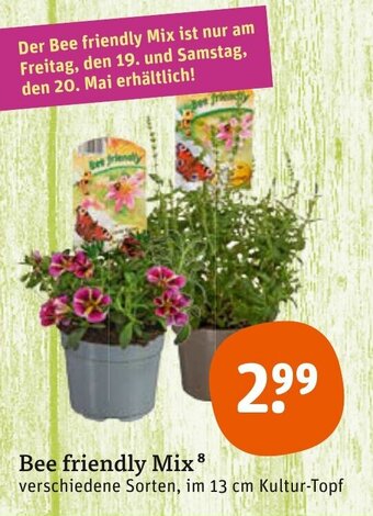 tegut Bee friendly Mix Angebot