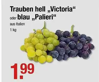 V Markt Trauben Hell Victoria Oder Blau „paleri” Angebot