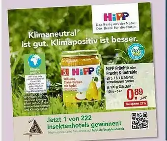 V Markt Hipp Früche Oder Frucht & Getreide Angebot