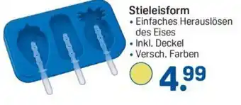 Rossmann Stieleisform Angebot