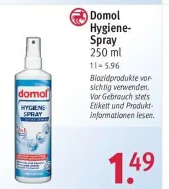 Rossmann Domol Hygiene-Spray 250 ml Angebot