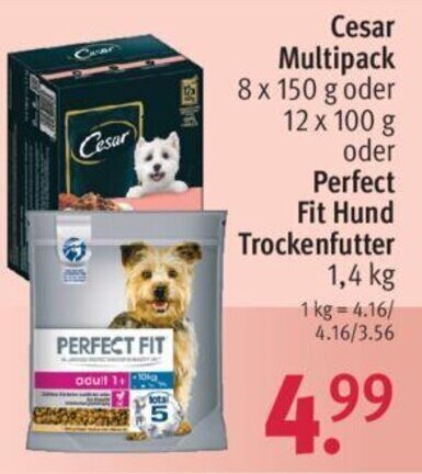 Cesar Multipack 8 x 150 g oder 12 x 100 g oder Perfect Fit Hund  Trockenfutter 1,4 kg Angebot bei Rossmann