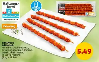 PENNY GRILLPARTY Grillfackeln 450 g Packung Angebot