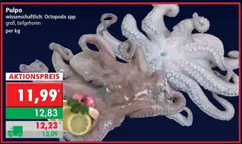 L. STROETMANN GROSSMARKT Pulpo Angebot