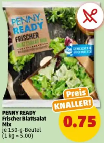 PENNY PENNY READY Frischer Blattsalat Mix 150 g Beutel Angebot