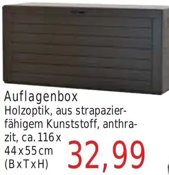 Wiglo Wunderland Auflagenbox Angebot