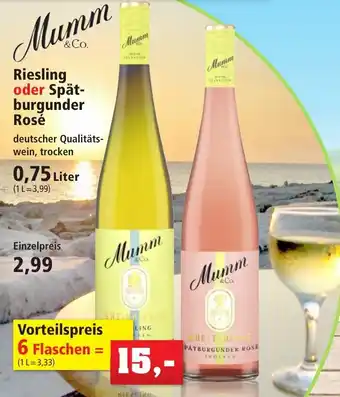 Thomas Philipps Mumm & Co. Riesling oder Spätburgunder Rosé 0,75 Liter Angebot