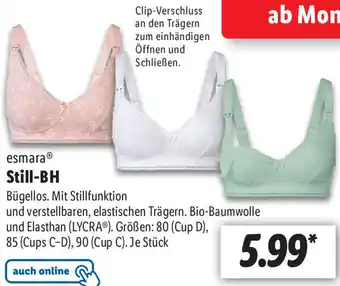 Lidl esmara Still-BH Angebot