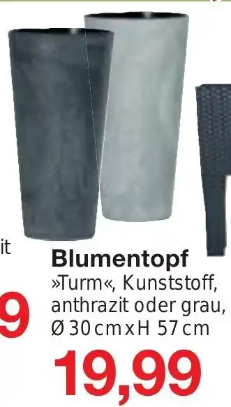 Jawoll Blumentopf 30cmx57cm Angebot