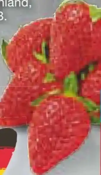 Netto Marken-Discount Erdbeeren Angebot