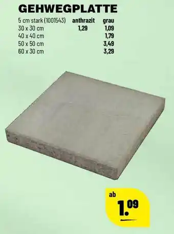 Leitermann Baumarkt Gehwegplatte Angebot