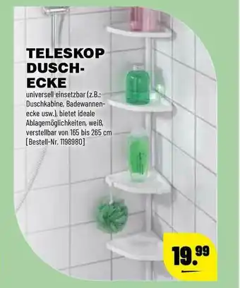 Leitermann Baumarkt Teleskop Duschecke Angebot