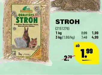 Leitermann Baumarkt Stroh Angebot