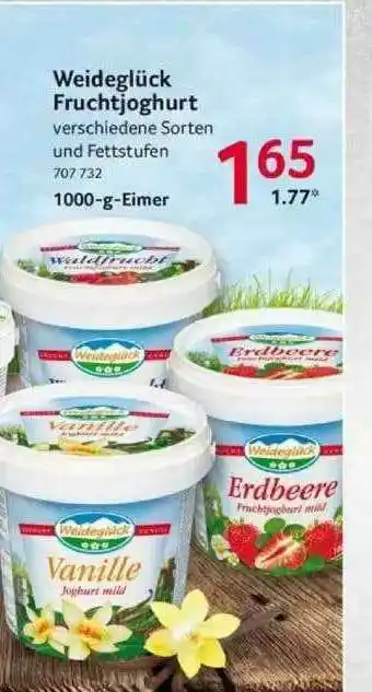 Selgros Weideglück Fruchtjoghurt Angebot