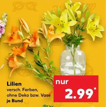 Kaufland Lilien versch. Farben, ohne Deko bzw. Vase je Bund Angebot