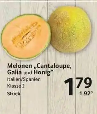 Selgros Melonen Cantaloupe, Galia Und Honig Angebot