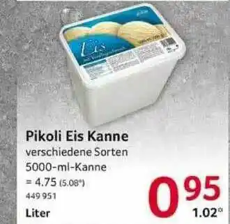 Selgros Pikoli Eis Kanne Angebot