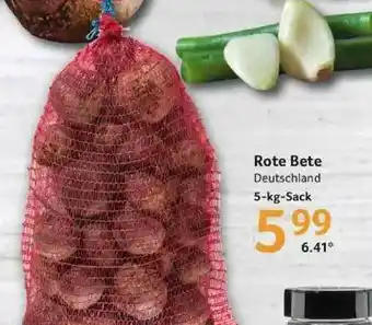 Selgros Rote Bete Angebot