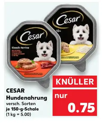 Kaufland CESAR Hundenahrung je 150-g-Schale Angebot