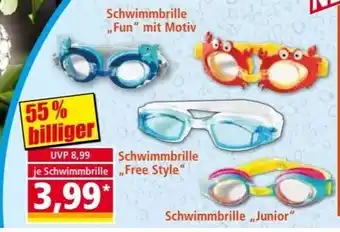 Norma Schwimmbrille „Free Style" Angebot