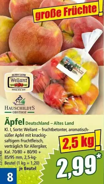 Norma HAUSCHILDTS - OBSTHOF- Äpfel 2,5 kg Angebot