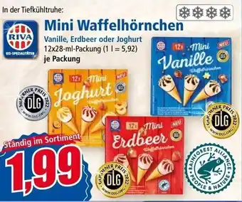 Norma RIVA Mini Waffelhörnchen 12 x 28-ml-Packung Angebot